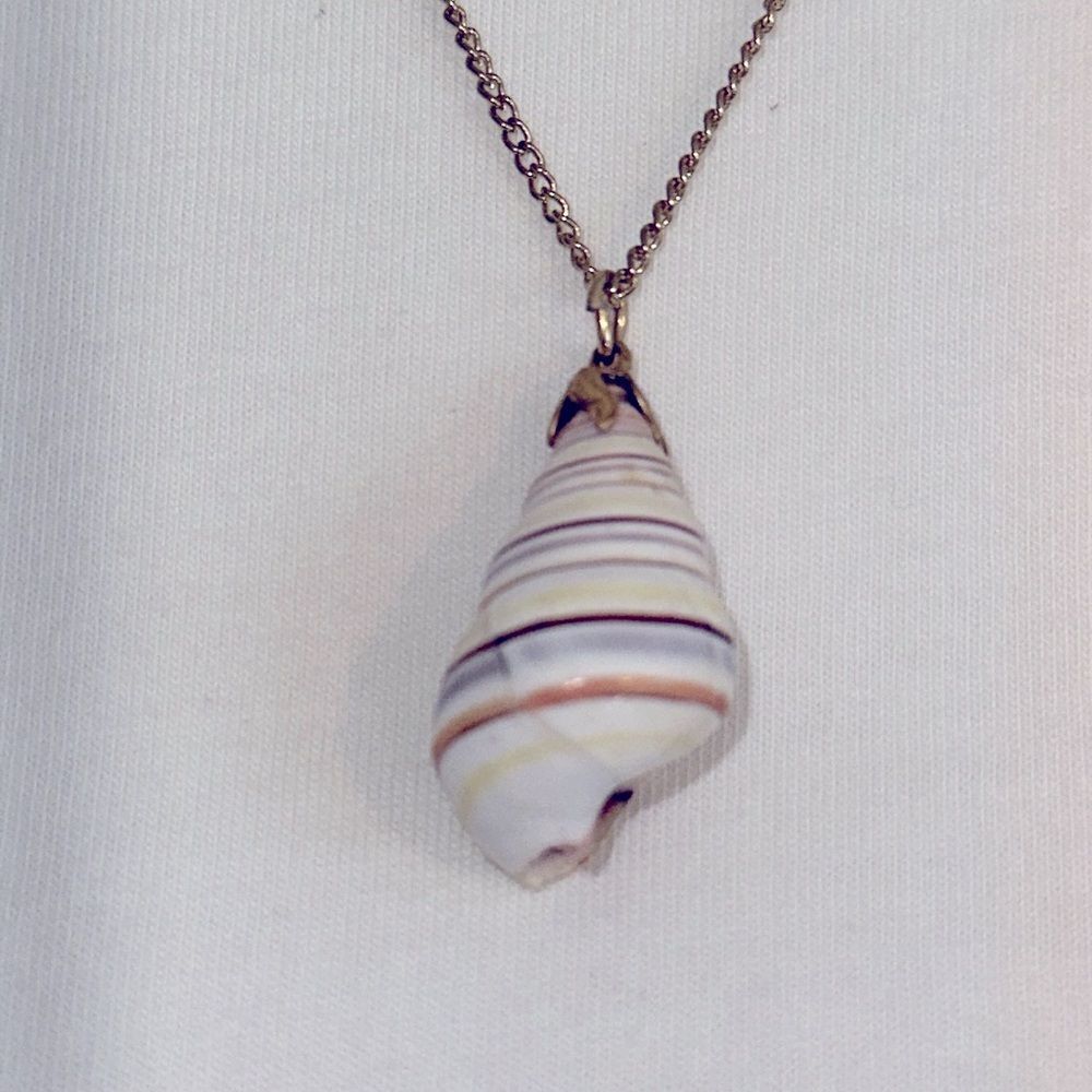 Multi color striped seashell with gold‎ tone chain